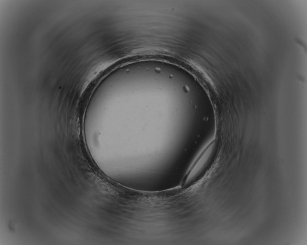 X0000091540973200709071100