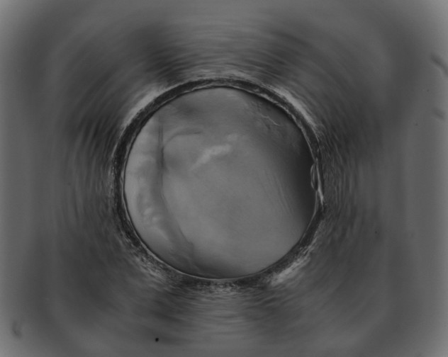 X0000091540975200709071100