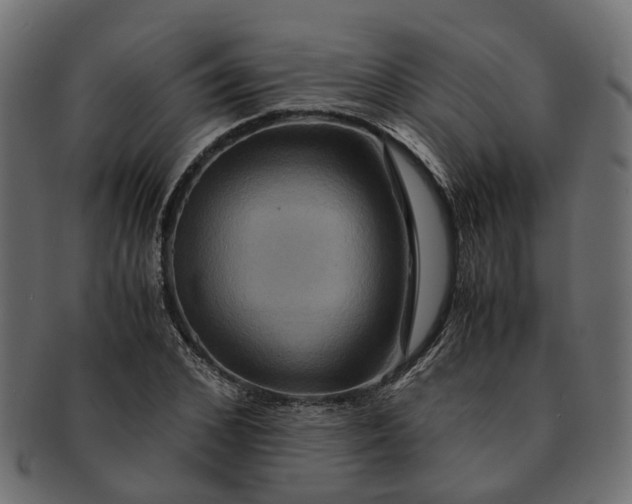 X0000091540976200709071100