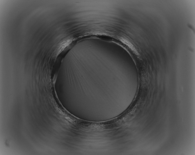 X0000091540977200709071100