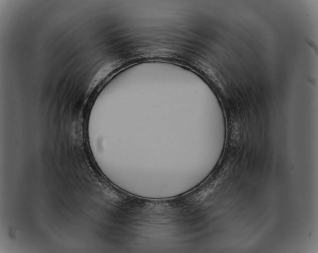 X0000091540978200709071100