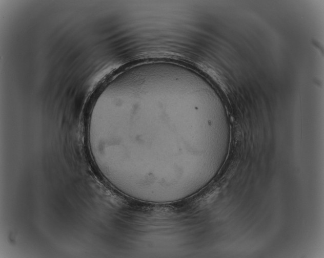 X0000091540979200709071100