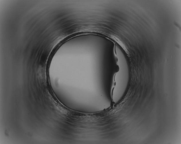 X0000091540980200709071100