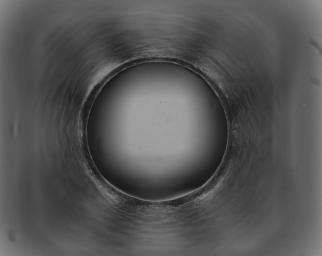 X0000091540981200709071100