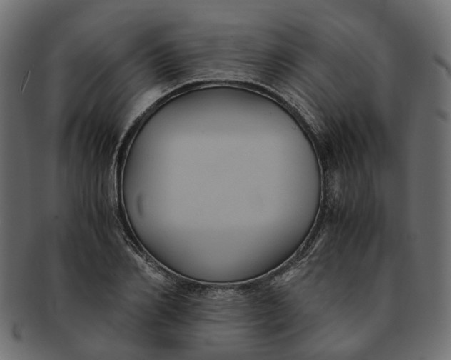 X0000091540982200709071100