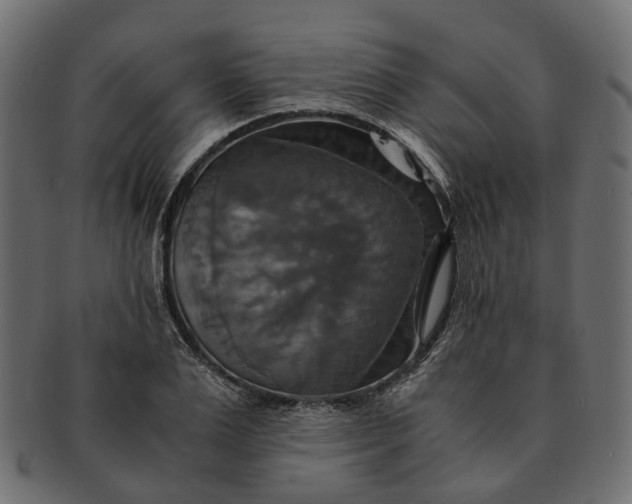 X0000091540983200709071100