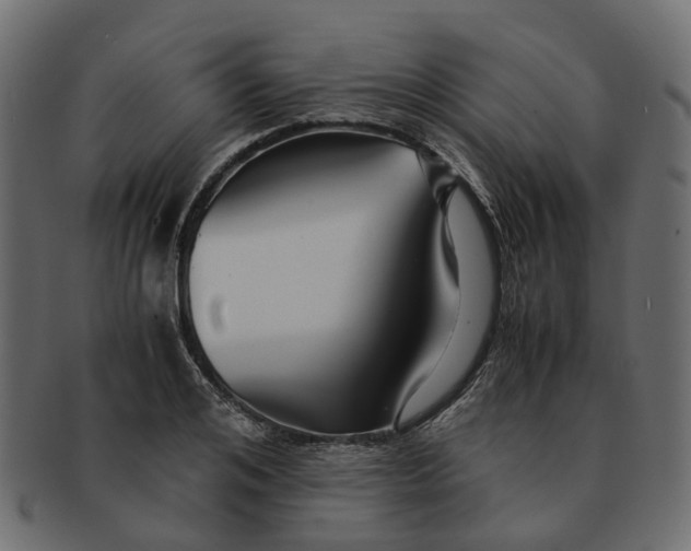 X0000091540984200709071100