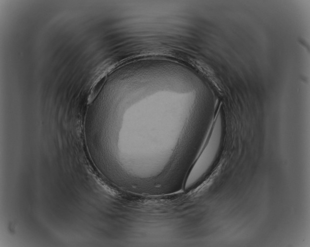 X0000091540985200709071100