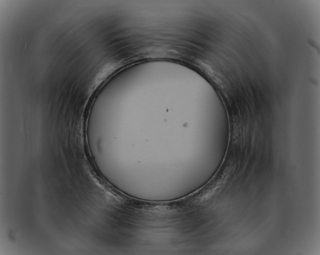 X0000091540986200709071100