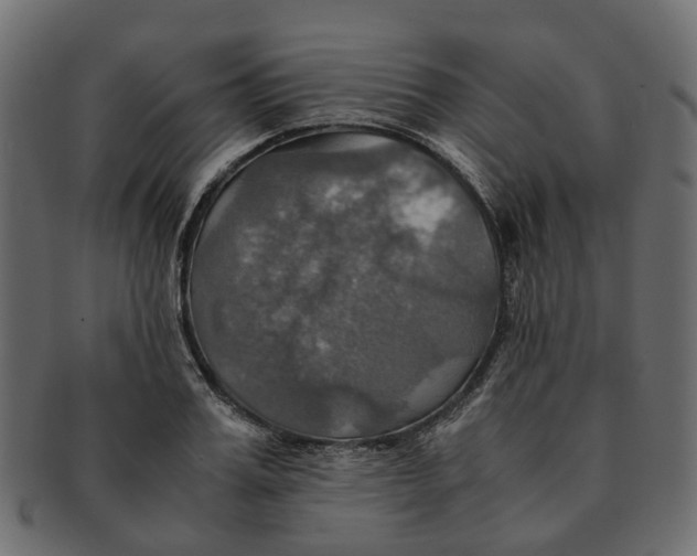 X0000091540987200709071100