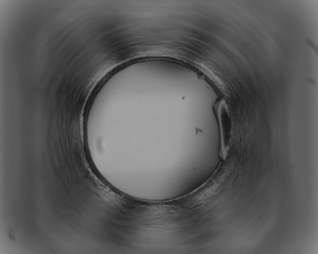 X0000091540988200709071100