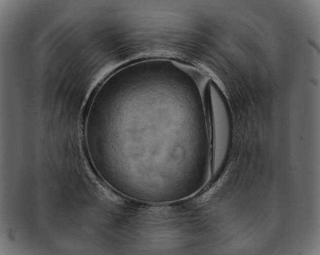 X0000091540989200709071100