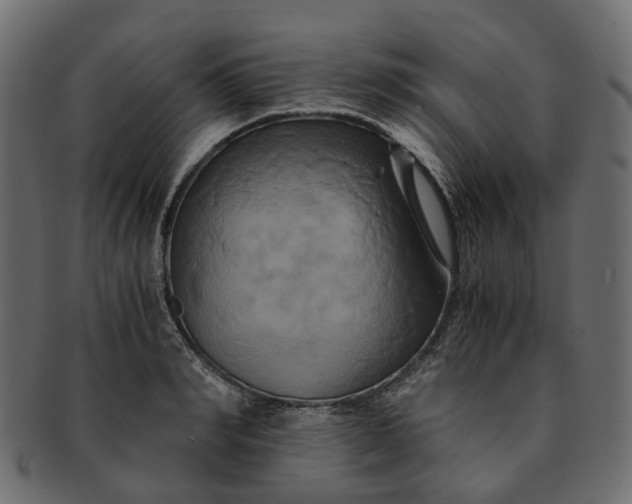 X0000091540990200709071100