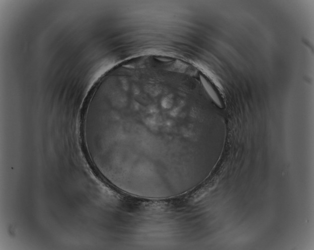 X0000091540991200709071100