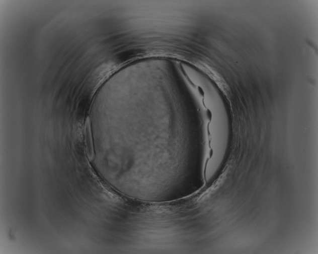 X0000091540993200709071100