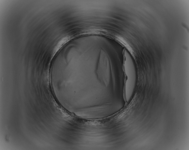 X0000091540994200709071100