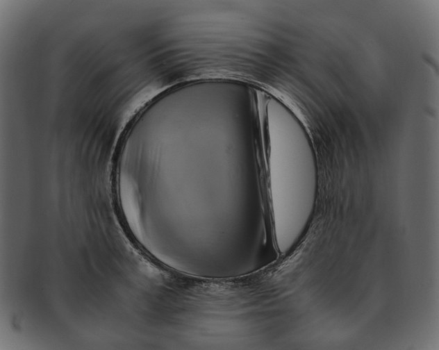 X0000091540995200709071100