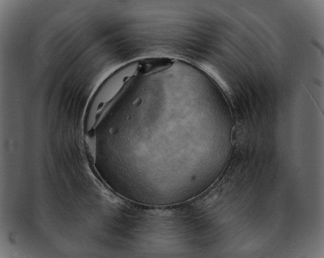 X0000091540996200709071100