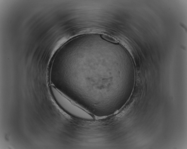 X0000091540997200709071100