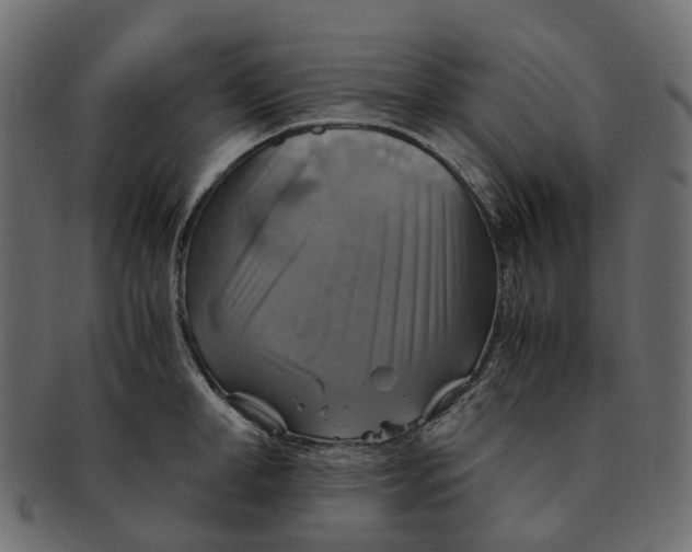 X0000091540998200709071100