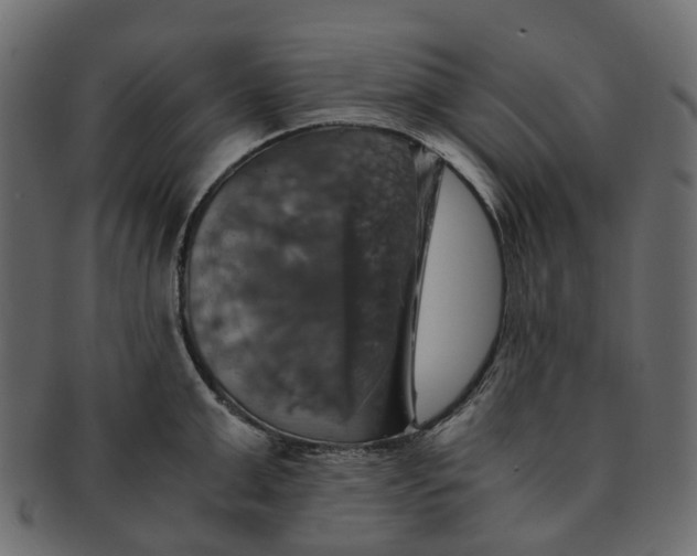 X0000091540999200709071100