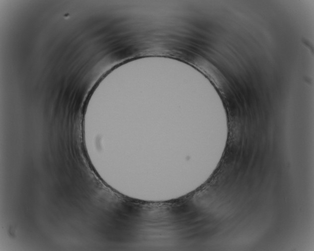 X0000091541000200709071100