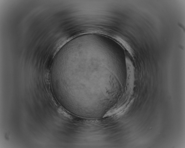 X0000091541001200709071100