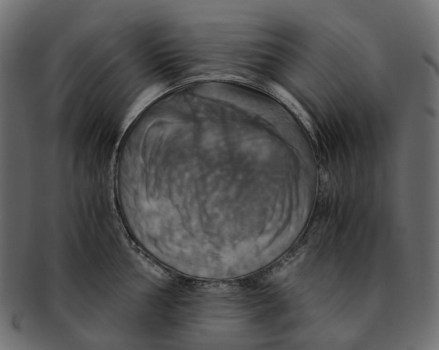 X0000091541002200709071100