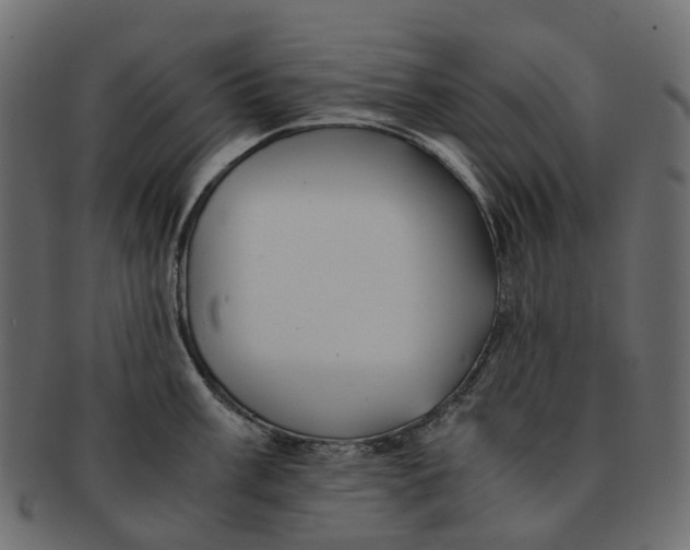 X0000091541003200709071100