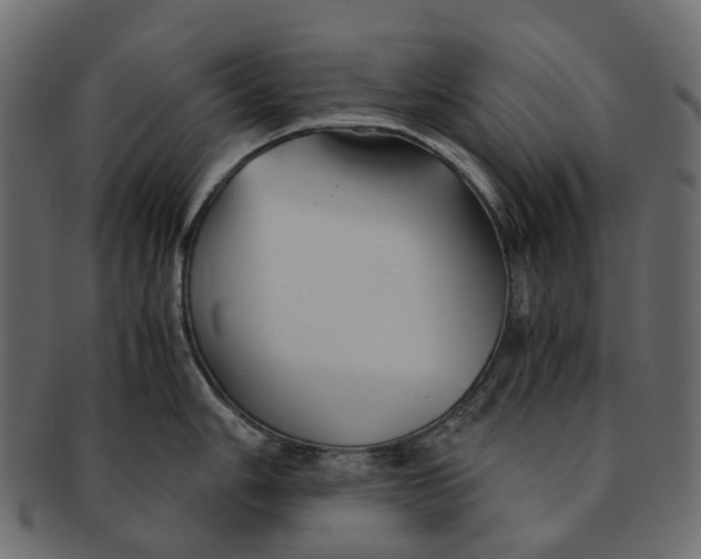 X0000091541006200709071100