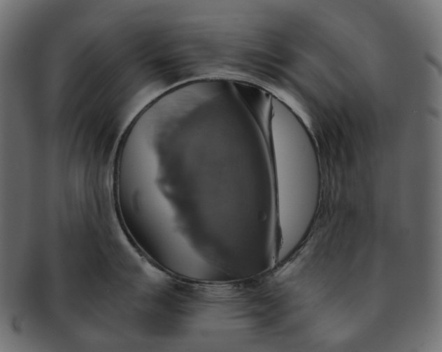 X0000091541007200709071100