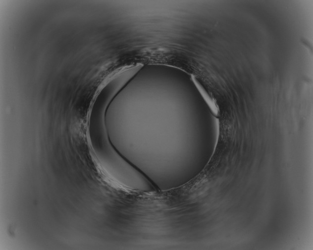 X0000091541010200709071059