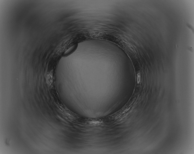 X0000091541011200709071059