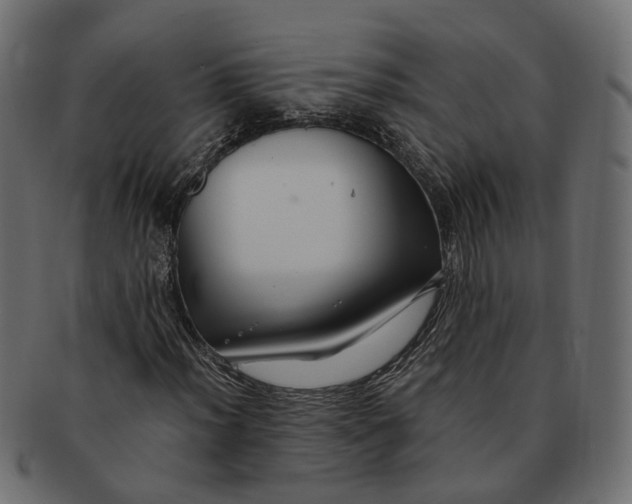 X0000091541012200709071059