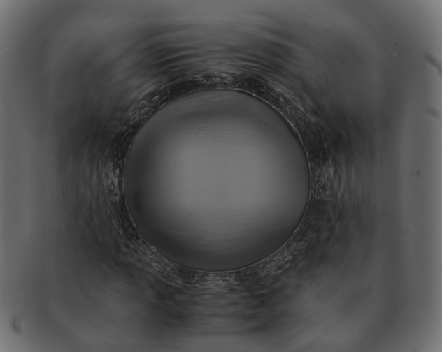 X0000091541013200709071059