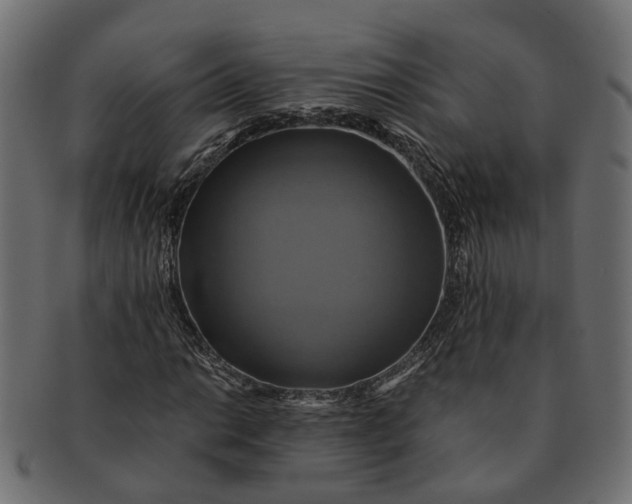 X0000091541014200709071059