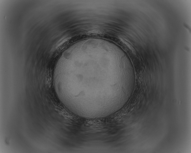 X0000091541015200709071059