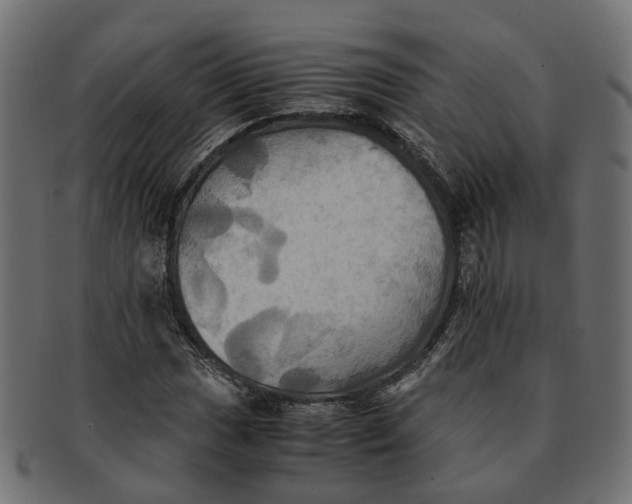 X0000091541017200709071059