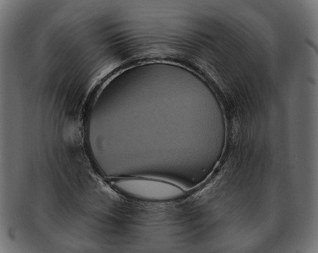 X0000091541018200709071059