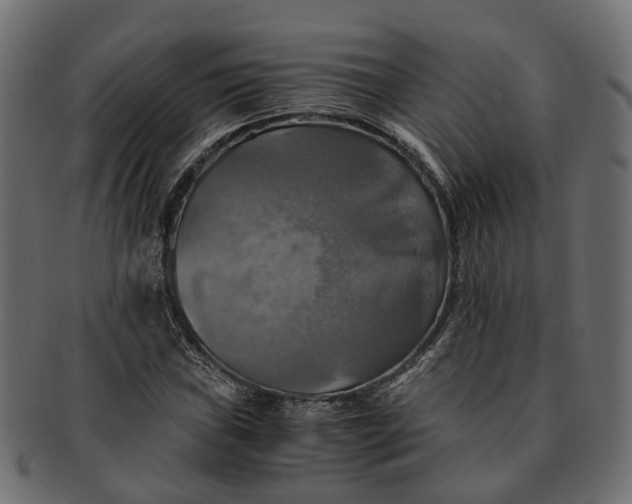 X0000091541019200709071059