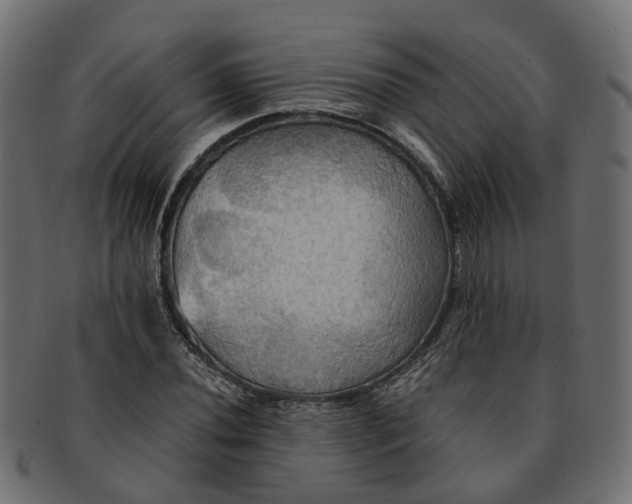 X0000091541020200709071059