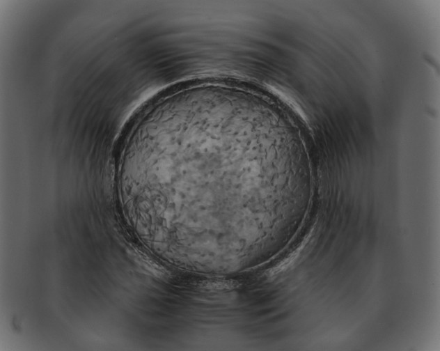 X0000091541021200709071059