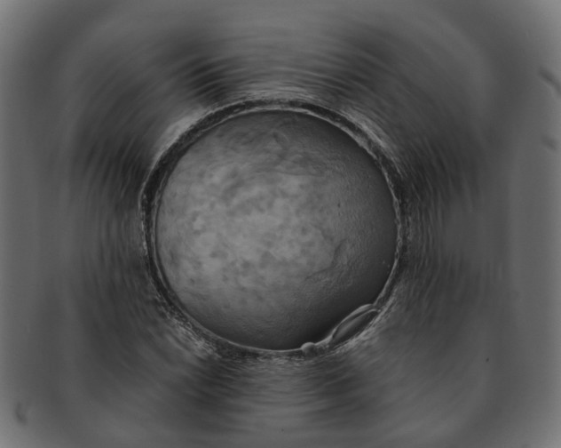 X0000091541022200709071059