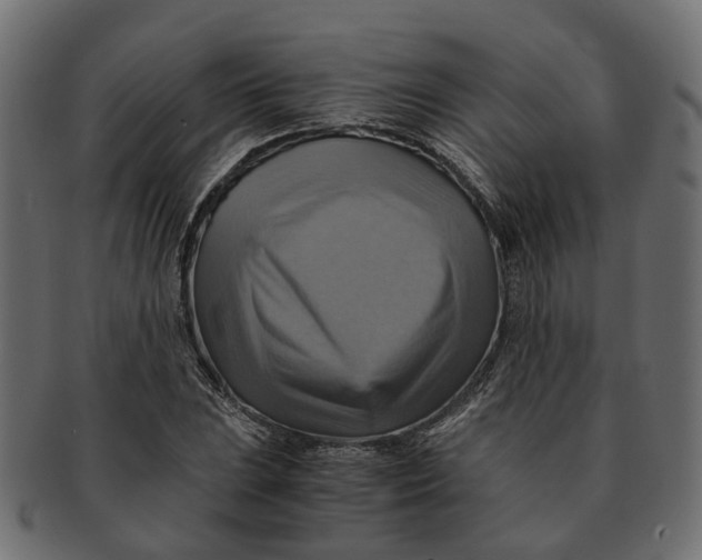 X0000091541023200709071059