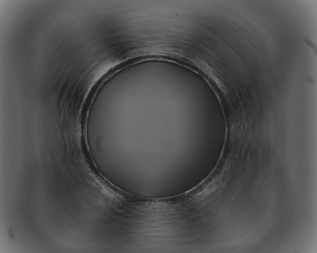 X0000091541024200709071059