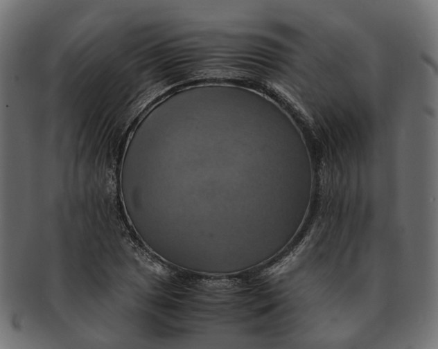 X0000091541025200709071059