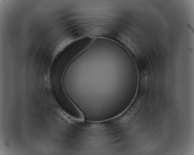 X0000091541026200709071059