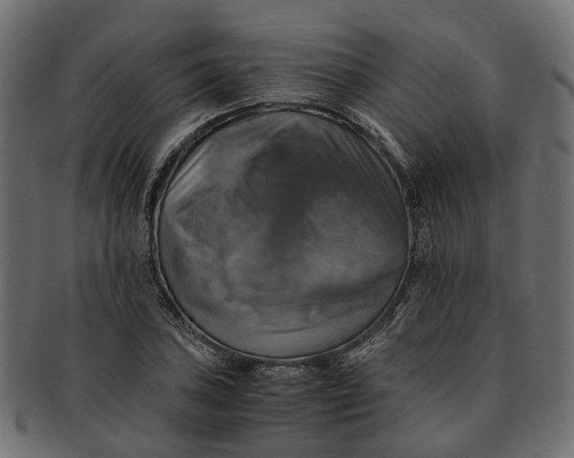 X0000091541027200709071059