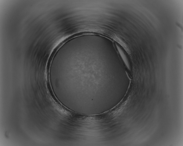 X0000091541028200709071059