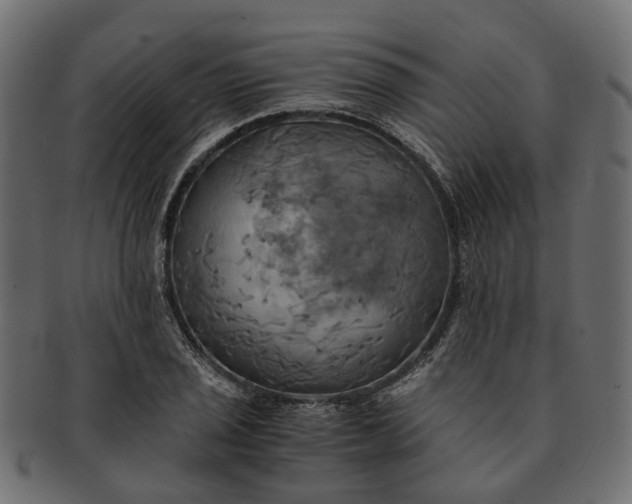 X0000091541029200709071059